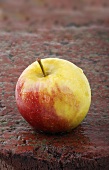 Fresh apple on wet brick