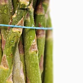 A bundle of green asparagus with drops of water (close-up)