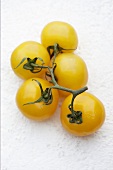 Yellow tomatoes on the vine (overhead view)
