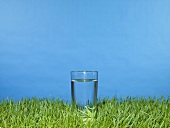 Glass of water on grass