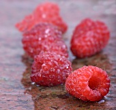 Raspberries on wet brick