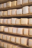 Cheeses stored on wooden shelves