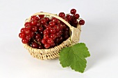 Redcurrants in basket with leaf