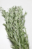 Fresh rosemary