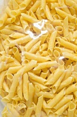 Penne in packaging (close-up)