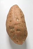 A sweet potato