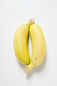 Two baby bananas