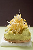 Cracker mit Guacamole und Linsensprossen