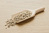 Grains of rye in wooden scoop