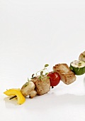 Chicken and vegetable kebab