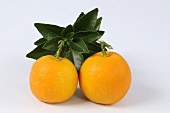 Zwei Tangerinen