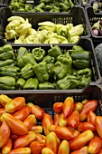 Plum tomatoes and green and yellow peppers in crates