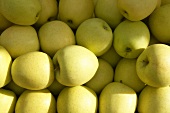 Viele Golden Delicious Äpfel (bildfüllend)