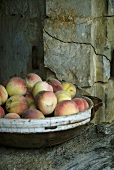 Peaches in a dish on a wall