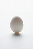 A white hen's egg