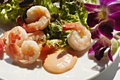 Prawns with dip and lettuce leaves