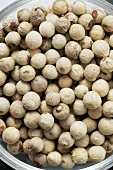 White peppercorns