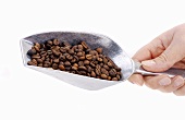 Hand holding a scoop of coffee beans