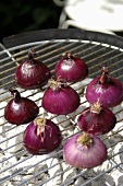 Halved red onions on barbecue