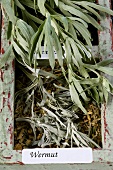 Wormwood ((Artemisia absinthium), dried
