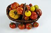Verschiedene Tomatensorten in einem Korb