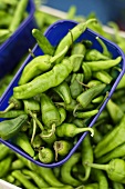 Pimientos de Padron (Spanish pepper variety) on a market stall