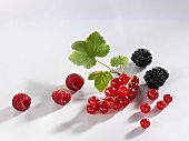 Redcurrants, raspberries and blackberries