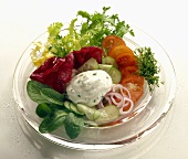Gemischter Salat mit Kräuterquark