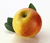 A Royal Gala apple