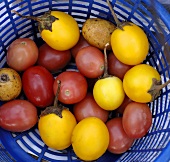Yellow Thai aubergines and tomatoes in basket