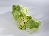 Iceberg lettuce