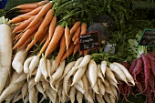 Long white radishes and carrots