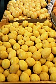Lemons on a market stall