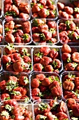 Fresh strawberries in plastic punnets on a market stall