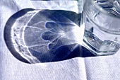 Glass of water with shadow on table