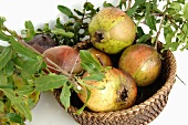 Pomegranates in a basket