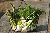 Green asparagus, onions and fennel in a wire basket