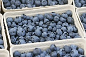 Several punnets of fresh blueberries in a crate (close-up)