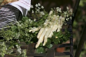 White asparagus and flowers on garden chair