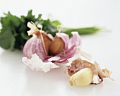 Fresh garlic bulb with detached clove of garlic