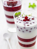 Buttermilk and redcurrant layered dessert with mint leaves