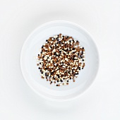 A plate of quinoa, seen from above