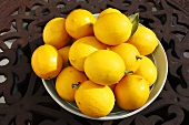 Bowl of Meyer Lemons on an Outdoor Table