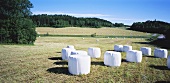 Round bales of silage in field