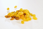 Small Pile of Golden Raisins on White