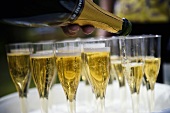 Pouring champagne into glasses