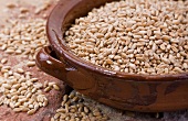 Wheat grains in a ceramic pot