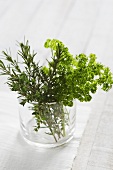 Fresh parsley, rosemary and thyme in a glass