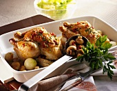 Spring chicken with pearl onions and mushrooms
