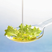 Oil running onto lettuce leaf on spoon